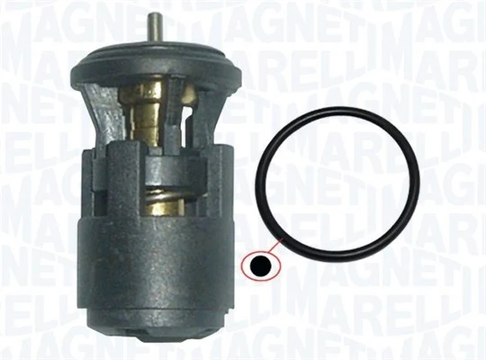 Thermostat, coolant
